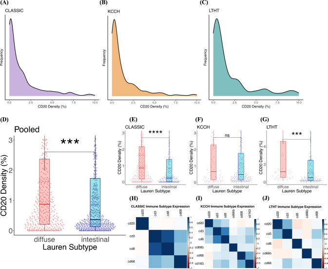 Spatial organization of B lymphocytes and prognosis prediction in patients with gastric cancer.