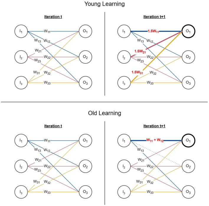 Computational analysis of learning in young and ageing brains.
