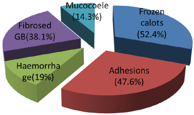 Predictive score for conversion in laparoscopic cholecystectomy - a prospective study.