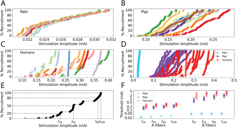 Scaling of vagus nerve stimulation parameters does not achieve equivalent nerve responses across species.