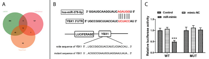 miR-379-5p Inhibited the Proliferation of Acute Myeloid Leukemia Cells Through Negative Regulation of <i>YBX1</i>