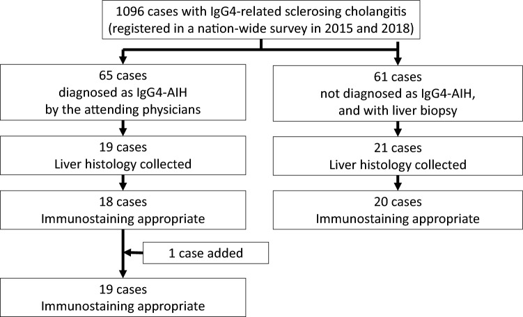 A clinicopathological study of IgG4-related autoimmune hepatitis and IgG4-hepatopathy.