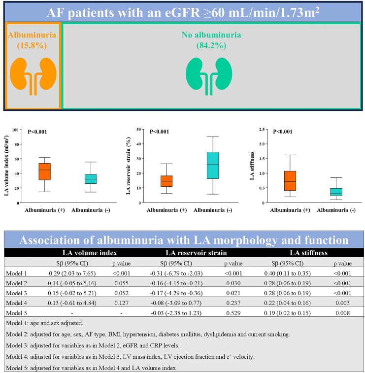 Prevalence of albuminuria and its association with left atrial remodelling in patients with atrial fibrillation.