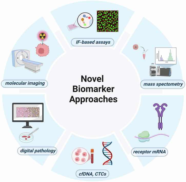 Novel treatment approaches utilizing antibody-drug conjugates in breast cancer.