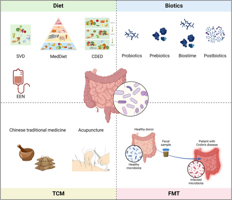 Role and mechanism of gut microbiota-host interactions in the pathogenesis of Crohn's disease.