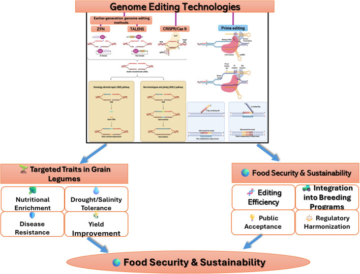 Genome editing in grain legumes for food security.