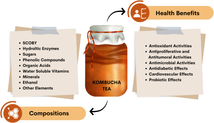Kombucha Tea: A Functional Beverage and All its Aspects.