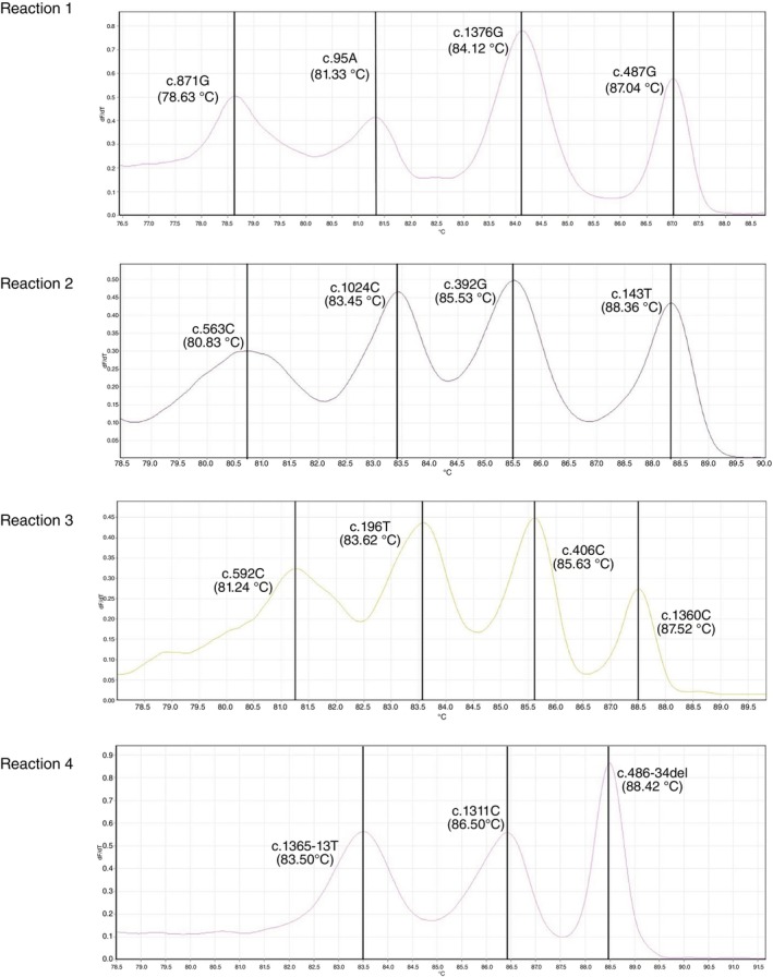 Improved genetic screening with zygosity detection through multiplex high-resolution melting curve analysis and biochemical characterisation for G6PD deficiency.