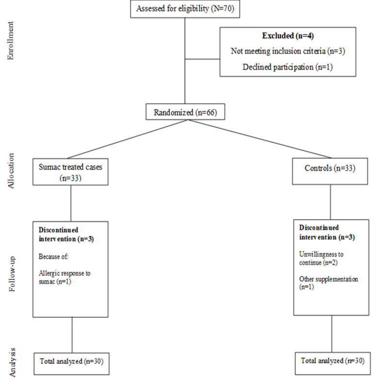 Effectiveness of sumac seed <i>(Rhus coriaria L.)</i> capsules prepared from an aqueous extract in diabetic patients: A double-blind clinical trial study.