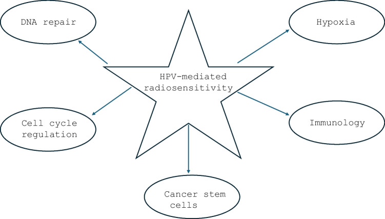HPV-Mediated Radiosensitivity in Oropharyngeal Squamous Cell Carcinoma: Molecular Mechanisms and Cellular Pathways.
