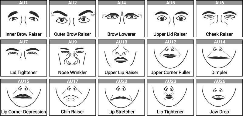Little evidence for a role of facial mimicry in the transmission of stress from parents to adolescent children.