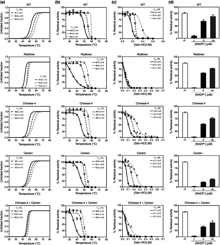 Improved genetic screening with zygosity detection through multiplex high-resolution melting curve analysis and biochemical characterisation for G6PD deficiency.