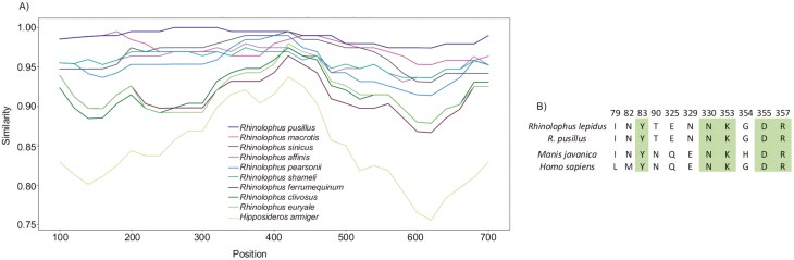 Hybrid genome assembly of the widespread bat Rhinolophus lepidus provides insights into susceptibility to SARS-CoV-2 infection and climate change threat.