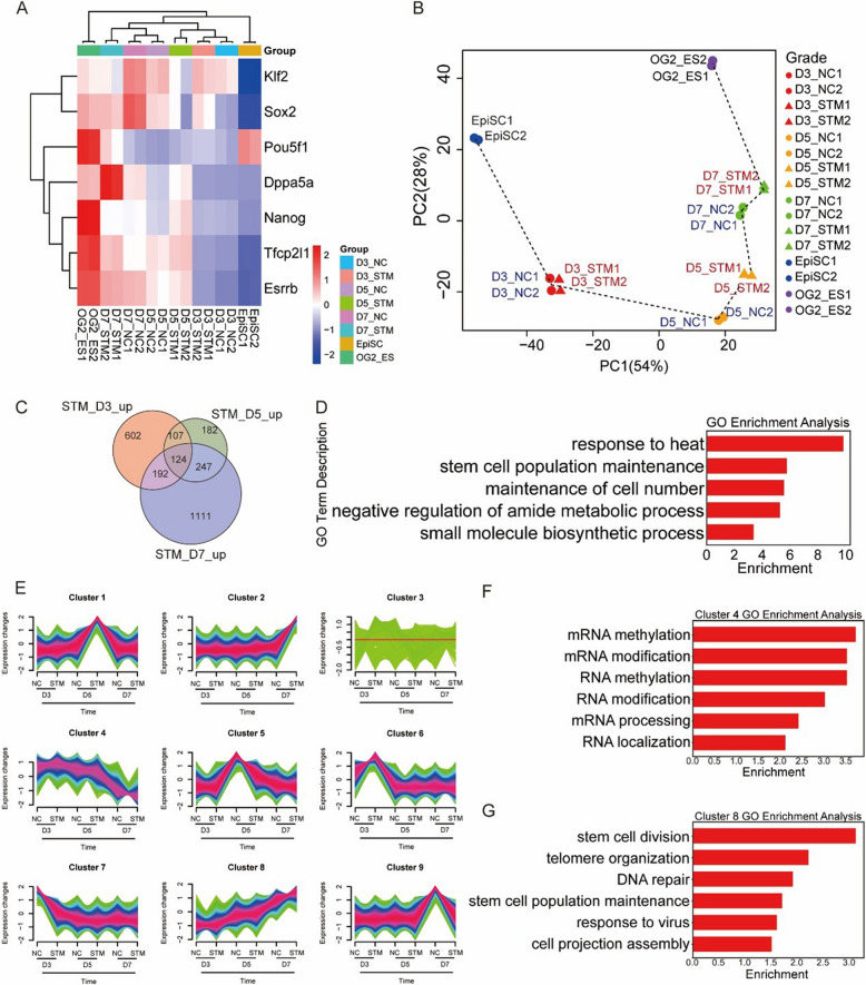 METTL3 inhibits primed-to-naïve transition of pluripotent stem cells through m<sup>6</sup>A-YTHDF2-pluripotency/Gstp1 mRNA degradation axis.