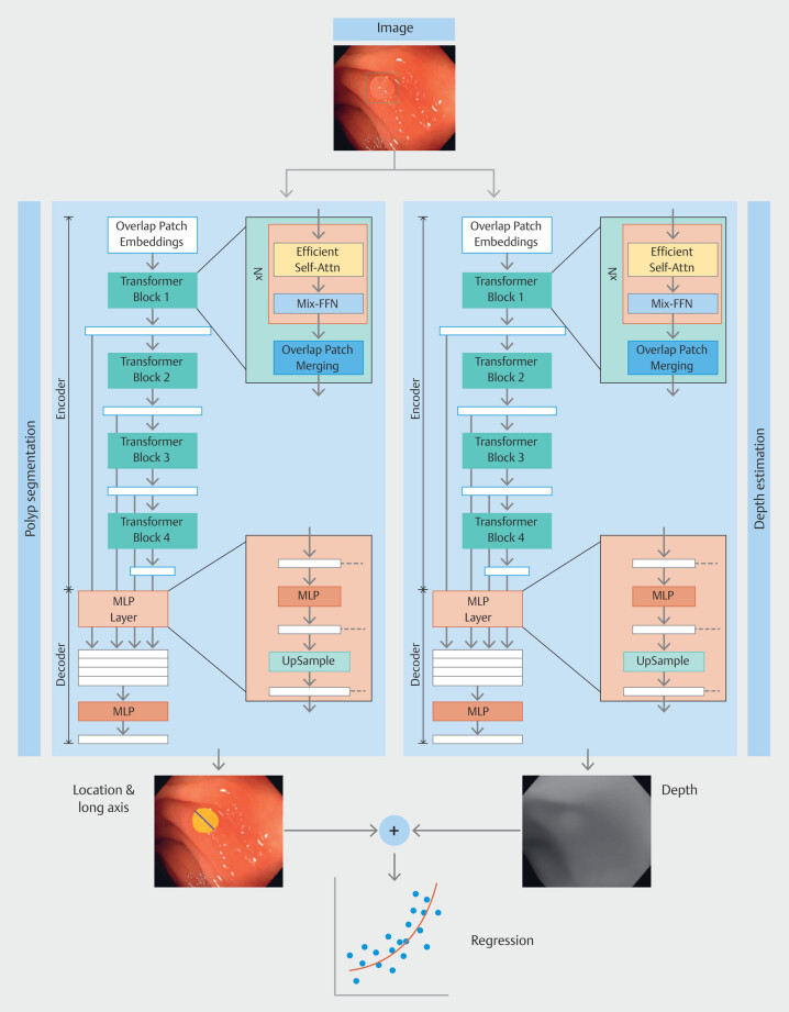 Use of artificial intelligence to measure colorectal polyp size without a reference object.