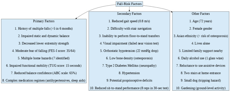 Case Report: Multifactorial Intervention for Safe Aging in Place.
