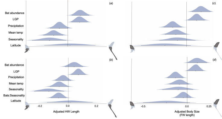 Strong bat predation and weak environmental constraints predict longer moth tails.