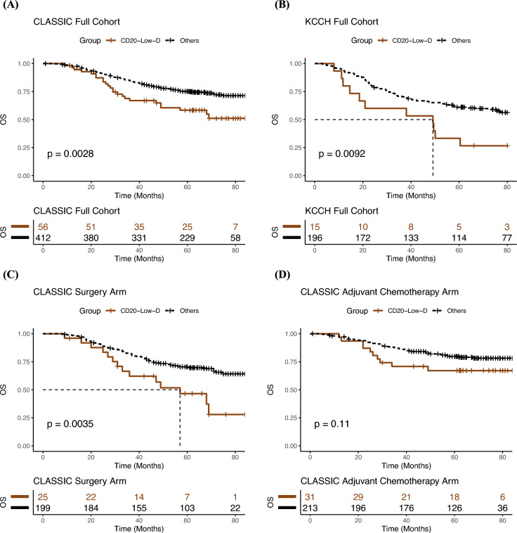 Spatial organization of B lymphocytes and prognosis prediction in patients with gastric cancer.