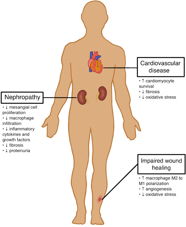 New frontiers in type I diabetes treatment: the impact of mesenchymal stromal cells on long-term complications.