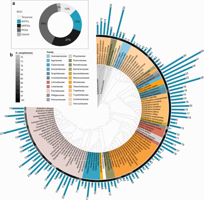 Bioinformatic exploration of RiPP biosynthetic gene clusters in lichens.