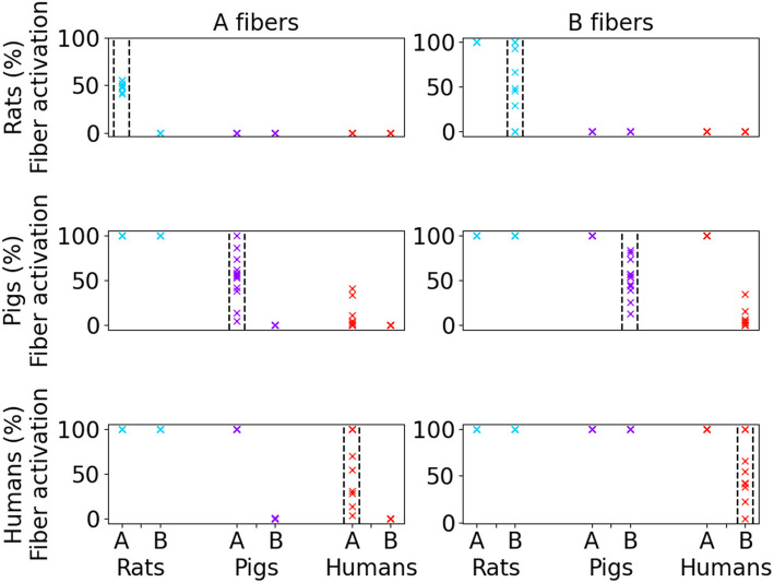 Scaling of vagus nerve stimulation parameters does not achieve equivalent nerve responses across species.