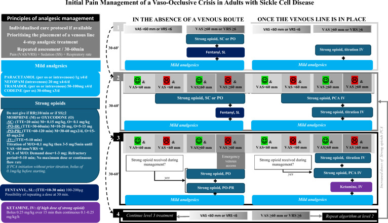 Guidelines for the management of emergencies and critical illness in pediatric and adult patients with sickle cell disease.