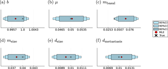 A stochastic modelling framework for cancer patient trajectories: combining tumour growth, metastasis, and survival.