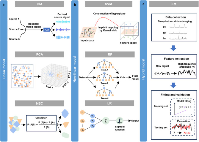 Reveal the mechanism of brain function with fluorescence microscopy at single-cell resolution: from neural decoding to encoding.