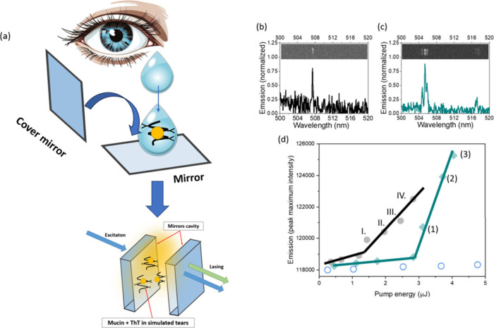 Thioflavin T Lasing Probe for Mucin Detection in Simulated Tears as a Targeting Strategy for Brain Tumors