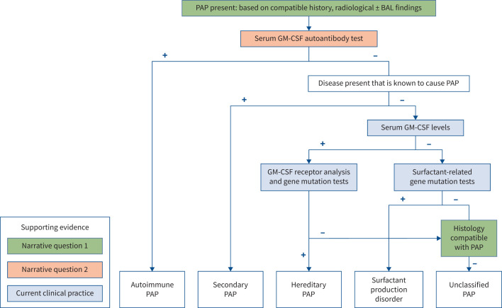 Summary for clinicians: ERS guidelines on pulmonary alveolar proteinosis.