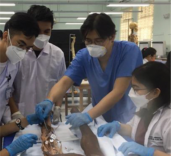 A Case Study on a Novel Teaching Method on Integumentary and Musculoskeletal Anatomy for First Year Medical Students in a National University in the Philippines (University of the Philippines College of Medicine) as a Potential Alternative to Traditional Cadaveric Dissection.