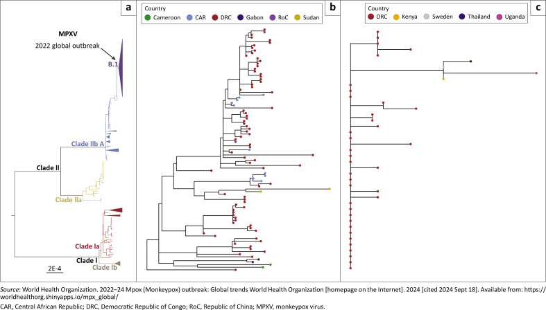 Mpox: An emerging or re-emerging infection with a potential colossal burden on healthcare globally.