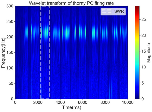 Regulation of sharp wave-ripples by cholecystokinin-expressing interneurons and parvalbumin-expressing basket cells in the hippocampal CA3 region.