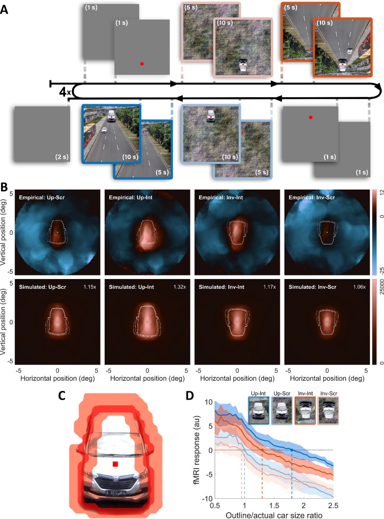 Perceiving object size in pictures involves high-level processing.