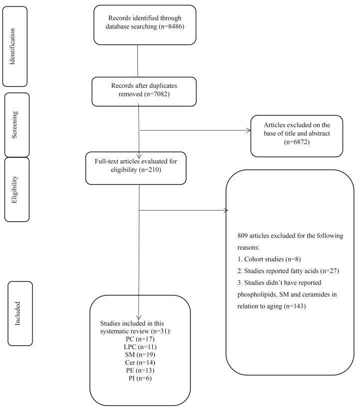 Serum phospholipids during aging: A comprehensive systematic review of cross-sectional and case-control studies.