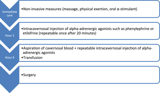 Guidelines for the management of emergencies and critical illness in pediatric and adult patients with sickle cell disease.