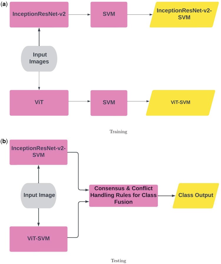 Integrating support vector machines and deep learning features for oral cancer histopathology analysis.