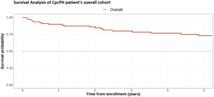 Prognosis and Treatment With Phosphodiesterase 5 Inhibitors in Combined Post- and Precapillary Pulmonary Hypertension: A Propensity Score-Matched Analysis From the Hellenic Pulmonary Hypertension Registry.