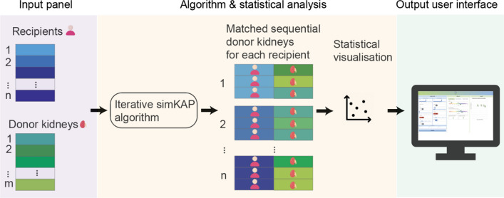 A Kidney Transplant Support System for Patient-Clinician Shared Decision-Making.