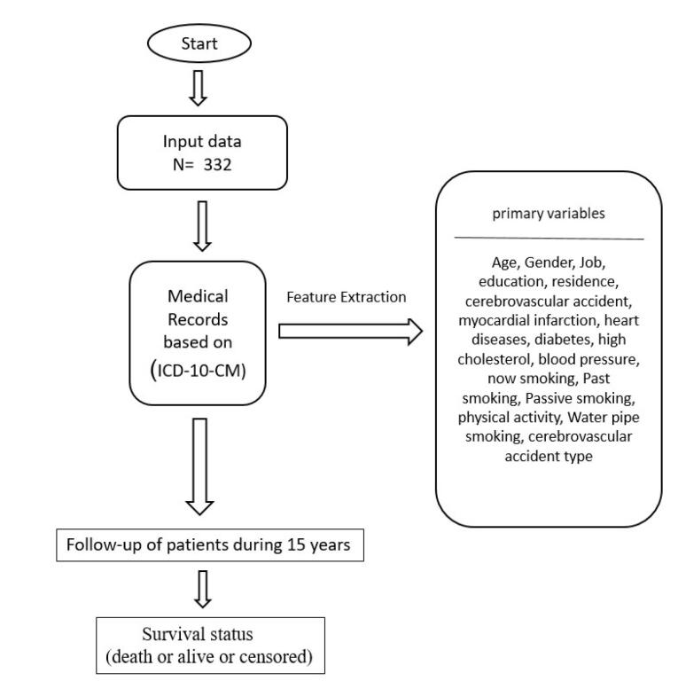 Machine Learning Predictive Models for Survival in Patients with Brain Stroke.