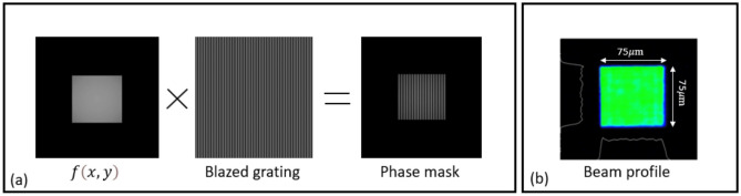 Three-dimensional optical trapping with a low-NA objective using a flat-top beam.
