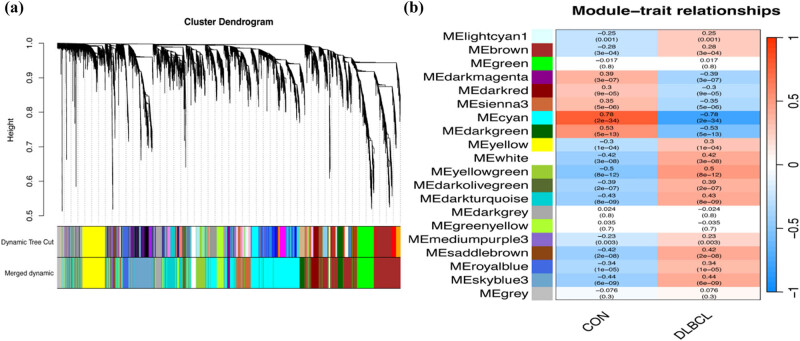 GATA1: A key biomarker for predicting the prognosis of patients with diffuse large B-cell lymphoma.