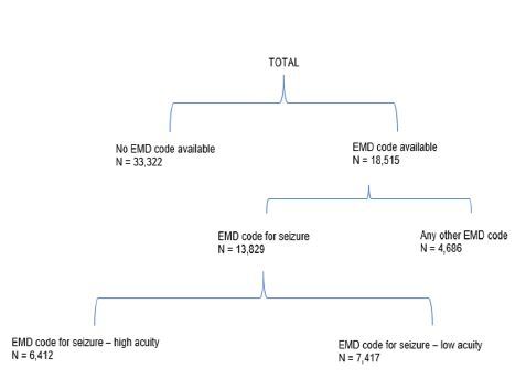 Dispatch Decisions and Emergency Medical Services Response in the Prehospital Care of Status Epilepticus.
