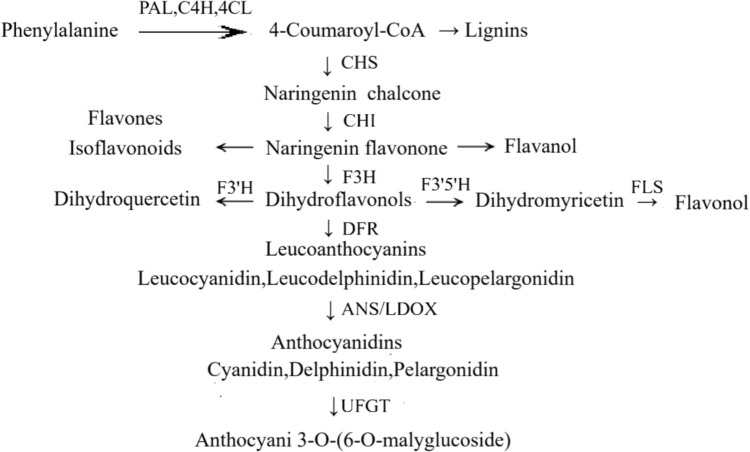 Illuminating the harvest: the regulatory effects of LEDs on pigment accumulation in various food crops.