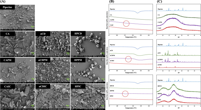 Stability, bioavailability, and cellular antioxidant activity of piperine complexed with cyclic glucans