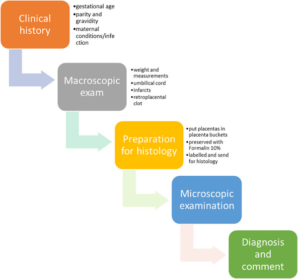 Placental Findings in Term Singleton Stillbirths in a Public Hospital in Emalahleni Sub-District in Mpumalanga Province: A Descriptive Study.