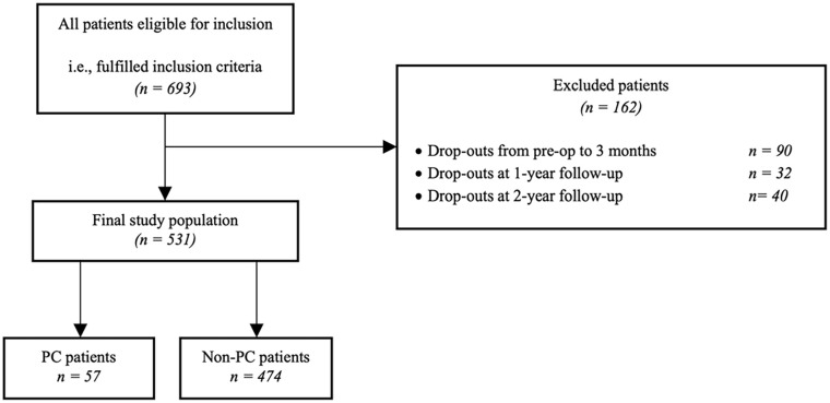 The role of pain catastrophising on subjective function and pain following total hip arthroplasty: a prospective comparative study of 531 patients with 2-year follow-up.