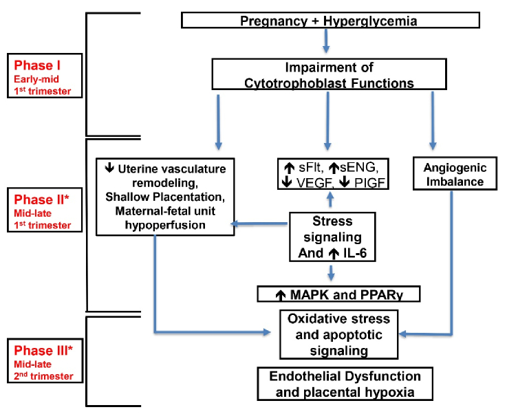 Diabetic pregnancy: A literature review of maternal and neonatal adverse outcomes.