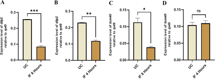 Impact of Intermittent Fasting on Survival and Gene Expression Profiles Associated with Autophagy, Metabolism, and Antioxidant in <i>Drosophila melanogaster</i>.