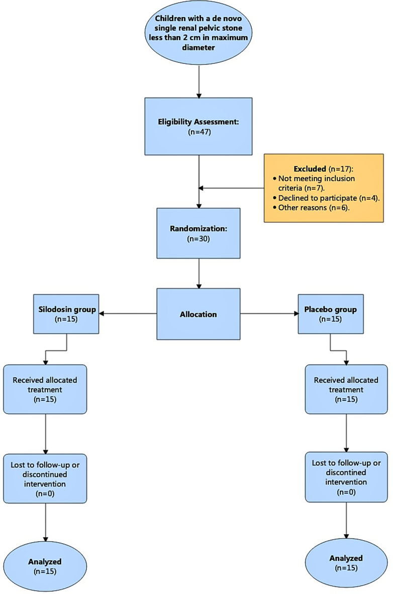 Safety and efficacy of Silodosin as medical expulsive therapy after shock wave lithotripsy in paediatric patients ‍‍with renal stones.